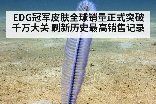 EDG冠军皮肤全球销量正式突破千万大关 刷新历史最高销售记录